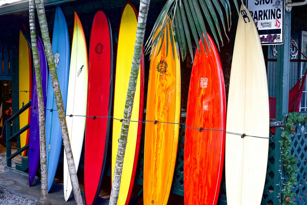 Hobie Surf Shop representing local businesses in coastal communities.